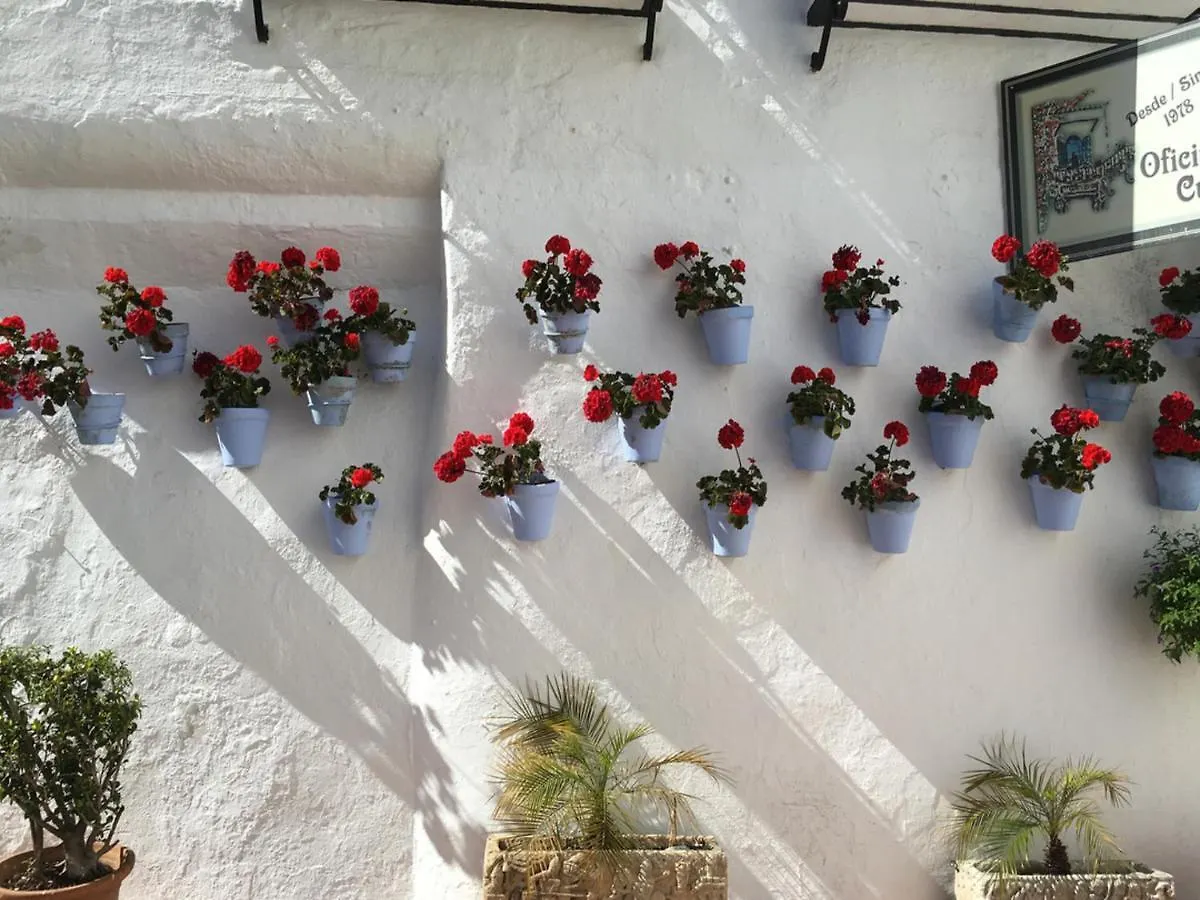 Erisa Ib Carihuela - Torremolinos Apartamento